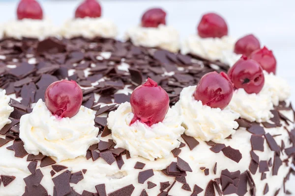Black Forest cake in detail with white background