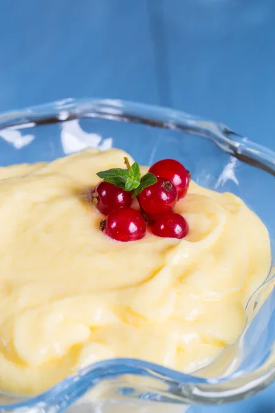 Vanilla cream dessert with vanilla bean and currant — Stock Photo, Image