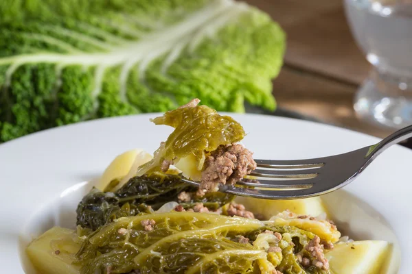 Guiso de col Savoy con patatas y carne molida —  Fotos de Stock