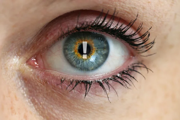 Concepto de ojo con signo de exclamación en la pupila —  Fotos de Stock