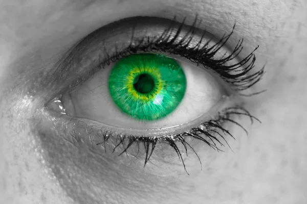 Ojo con iris verde mira el concepto del espectador Macro —  Fotos de Stock