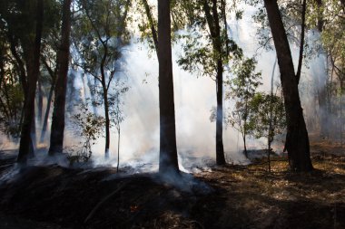 Kontrollü yangın yanık