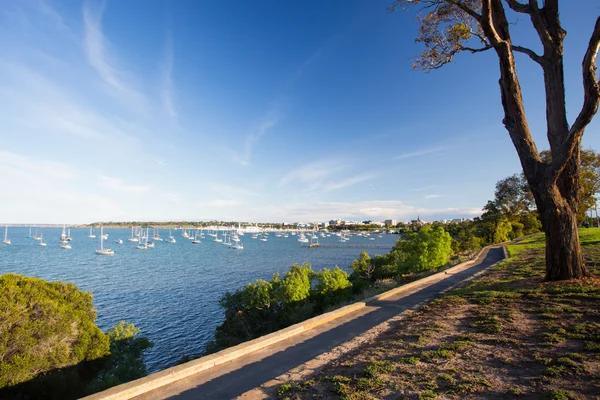 Geelong Waterfront yaz aylarında — Stok fotoğraf