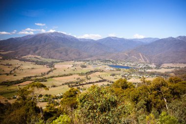 MT güzellik uyanık