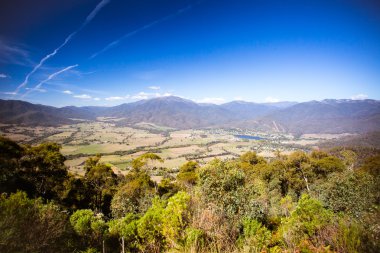 MT güzellik uyanık
