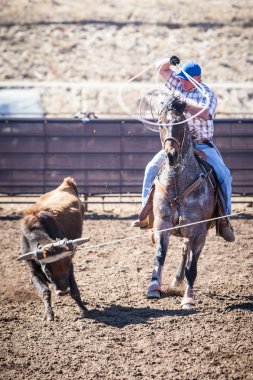 Takım Kementleme rekabet