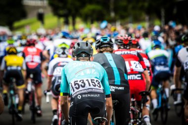 Cadel Evans Great Ocean Road yarış - Mens Elite