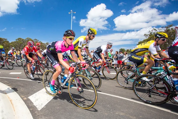 Cadel Evans Great Ocean Road yarış - Mens Elite