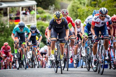 Cadel Evans Great Ocean Road yarış - Mens Elite