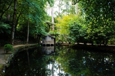 Alfred Nicholas Memorial Gardens