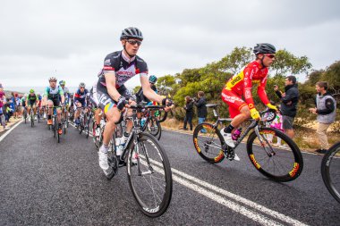 Cadel Evans Great Ocean Road yarış