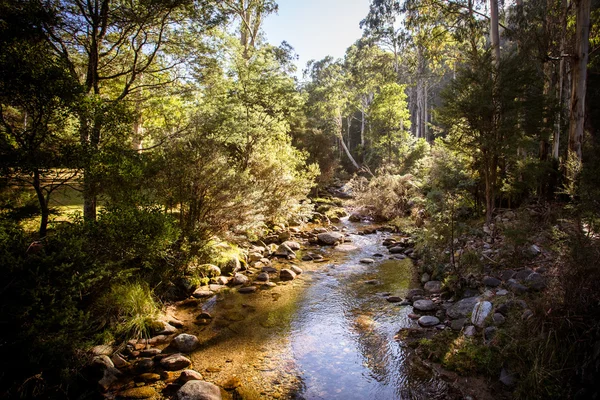 Lederen Barrel Creek — Stockfoto