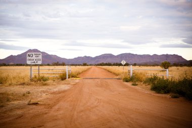 Outback sığır istasyonu