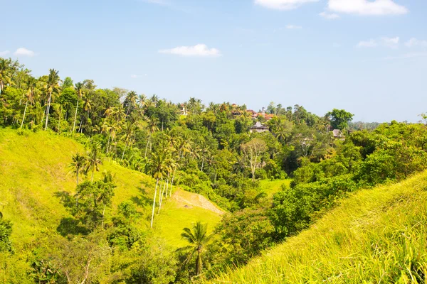 Campuhan Ridge Walk — Foto Stock