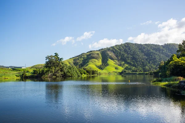 Daintree River View — Stock fotografie