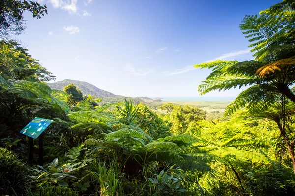 Namontujte Alexandra Lookout — Stock fotografie