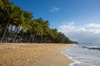 Palm Cove Beachfront