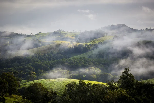 Atherton Tablelands za mlhavého rána — Stock fotografie