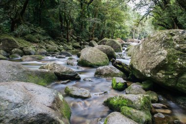 Mossman Gorge Rapids