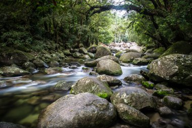 Mossman Gorge Rapids