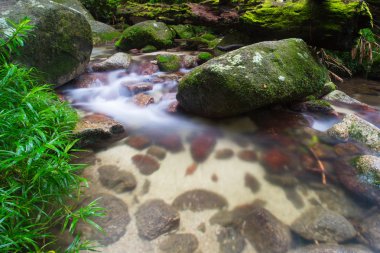 Mossman Gorge sahne
