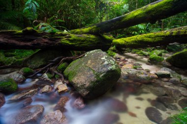 Mossman Gorge sahne