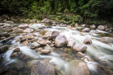 Mossman Gorge Rapids