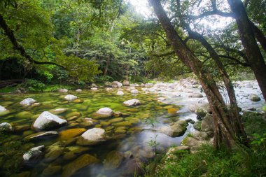 Mossman Gorge Rapids