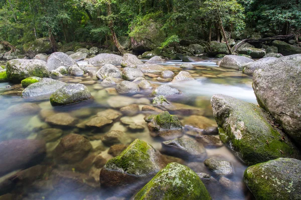 Moosschlucht-Stromschnellen — Stockfoto