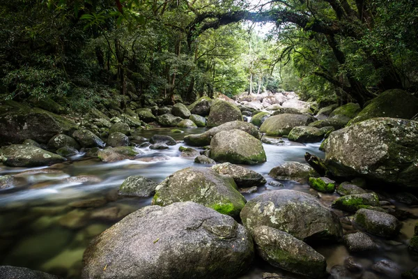 Mossman Gorge Rapids — Foto de Stock