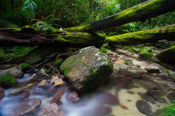 Mossman Gorge Paisajes — Foto de Stock