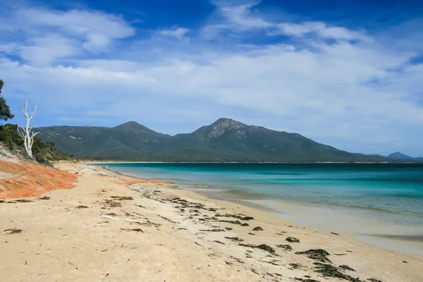 Freycinet Beach Paesaggio — Foto Stock