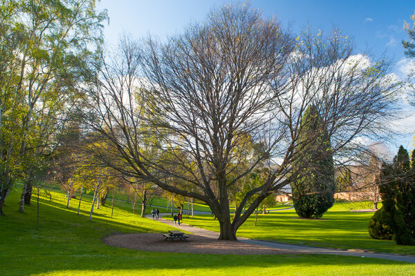 Royal Tasmania Botanical Gardens