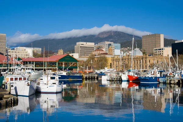 Hobart Dock and Mt Wellington — Stock Photo, Image