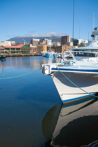Hobart Dock e Mt Wellington — Foto Stock