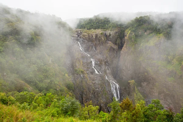 Barron Falls egy ködös napon — Stock Fotó