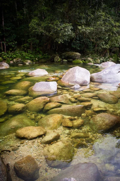 Mossman Gorge Rapids — Foto de Stock