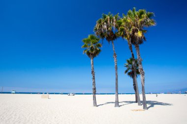 Santa Monica plaj sahnesi