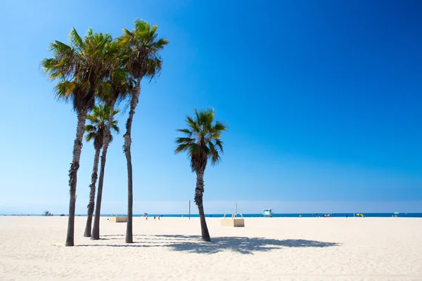 Santa Monica Beach Scene — Stock Photo, Image