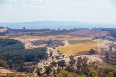 Avustralya 'daki King Valley Üzüm bağı