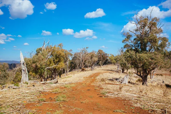 King Valley Landschaft in Australien — Stockfoto