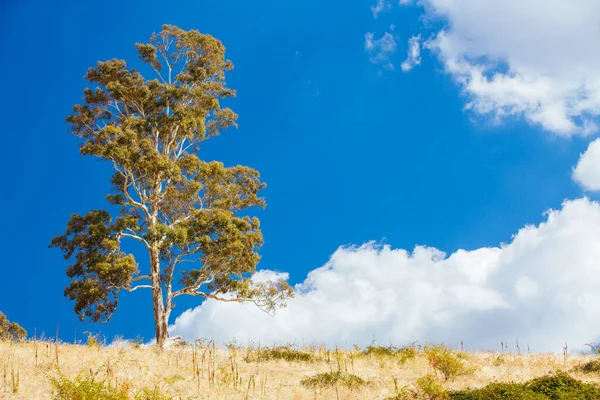 King Valley Landschaft in Australien — Stockfoto