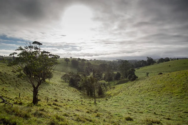 Atherton Tablelands em uma manhã enevoada na Austrália — Fotografia de Stock