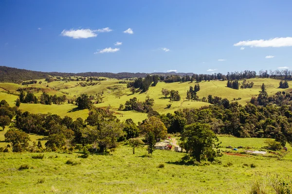 Atherton Tablelands op een mistige ochtend — Stockfoto