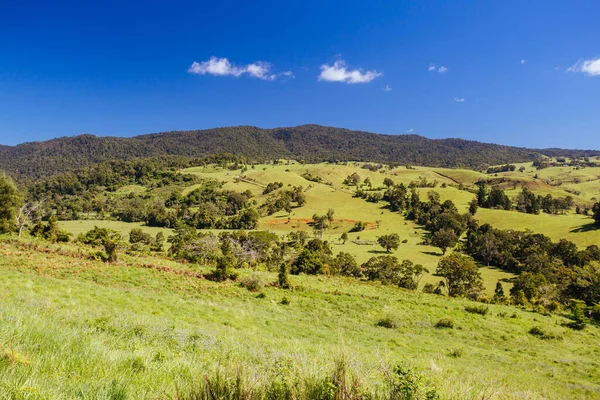 Atherton Tablelands em uma manhã enevoada — Fotografia de Stock