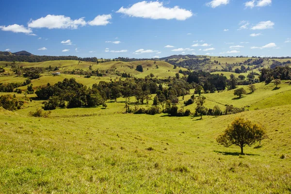 Atherton Tablelands op een mistige ochtend — Stockfoto