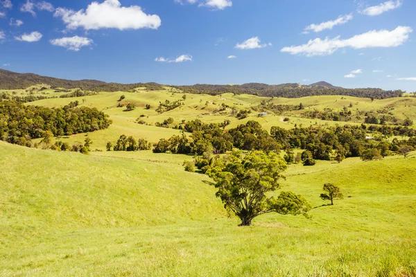 Atherton Tablelands w mglisty poranek — Zdjęcie stockowe