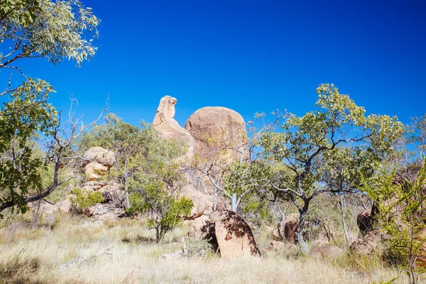 Krajobraz OBriens Creek w Australii — Zdjęcie stockowe