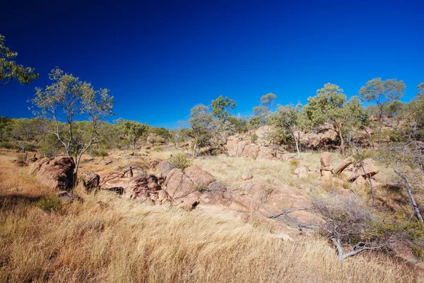 Krajobraz OBriens Creek w Australii — Zdjęcie stockowe