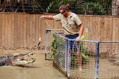Avustralya 'daki Hartley Timsah Maceraları